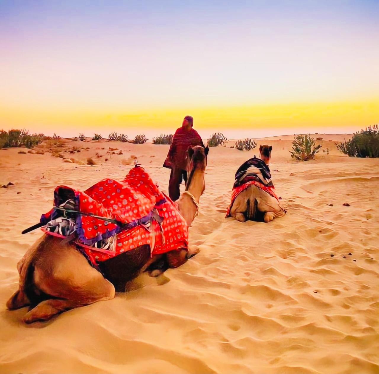Jaisalmer Hostel Crowd ภายนอก รูปภาพ